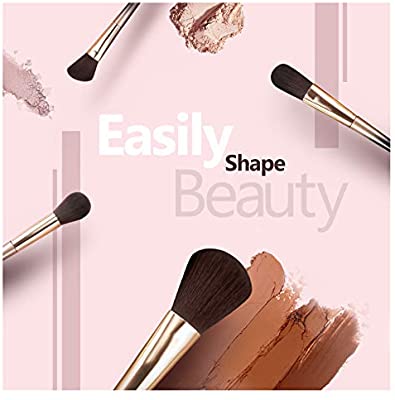 Subsky Professional Makeup Brushes, 16 Pcs Travel Makeup Brush Set Includes Foundation Brush, Powder Brush, Blush Brush, High Light Blush Brush, Concealer Brush, Eyeshadow Brush, Eyebrow Brush