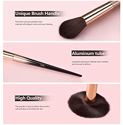 Subsky Professional Makeup Brushes, 16 Pcs Travel Makeup Brush Set Includes Foundation Brush, Powder Brush, Blush Brush, High Light Blush Brush, Concealer Brush, Eyeshadow Brush, Eyebrow Brush