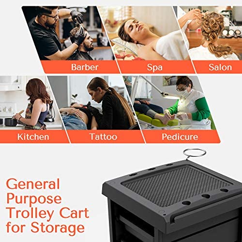 TASALON Salon Trolley Cart for Salon Station - Space Saving Salon Rolling Cart for Extra Storage - Hair Salon Beauty Storage Cart - 6-Tray Salon Cart - Multipurpose Tool Cart - Tattoo Tray - Hair Cart