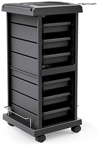 TASALON Salon Trolley Cart for Salon Station - Space Saving Salon Rolling Cart for Extra Storage - Hair Salon Beauty Storage Cart - 6-Tray Salon Cart - Multipurpose Tool Cart - Tattoo Tray - Hair Cart