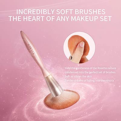 ZEESEA Makeup Brush,The Newly Launched ZEESEA (Rosette Nebula) Cosmetics Brush Set