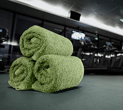 Utopia Towels Cotton Sage Green Washcloths Set - Pack of 24-100% Ring Spun Cotton, Premium Quality Flannel Face Cloths, Highly Absorbent and Soft Feel Fingertip Towels