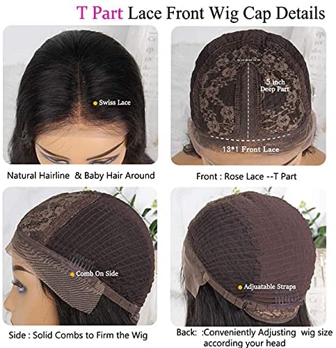 BLG Human Hair Wigs for Black Women 150% Density OrangeRed Human Hair Lace Front Wigs Body Wave T Part Lace Front Wigs Human Hair Pre Plucked (16 Inch, Orange T Part Lace Wig)