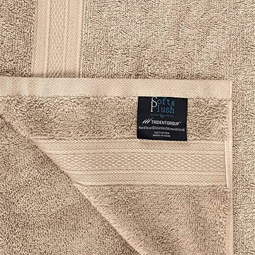 TRIDENT Soft and Plush, 100% Cotton, Highly Absorbent, Bathroom Towels, Super Soft, 6 Piece Towel Set (2 Bath Towels, 2 Hand Towels, 2 Washcloths), 500 GSM