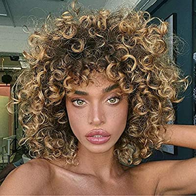 AISI HAIR Afro Kinky Curly Fully Wigs Shoulder Length Synthetic Cosplay Wigs for African American Women Natural Curly Heat Resistant Fiber Afro Hair Wigs (Magenta)
